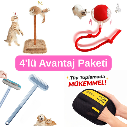 PatiCat 4'lü Avantajlı Paket