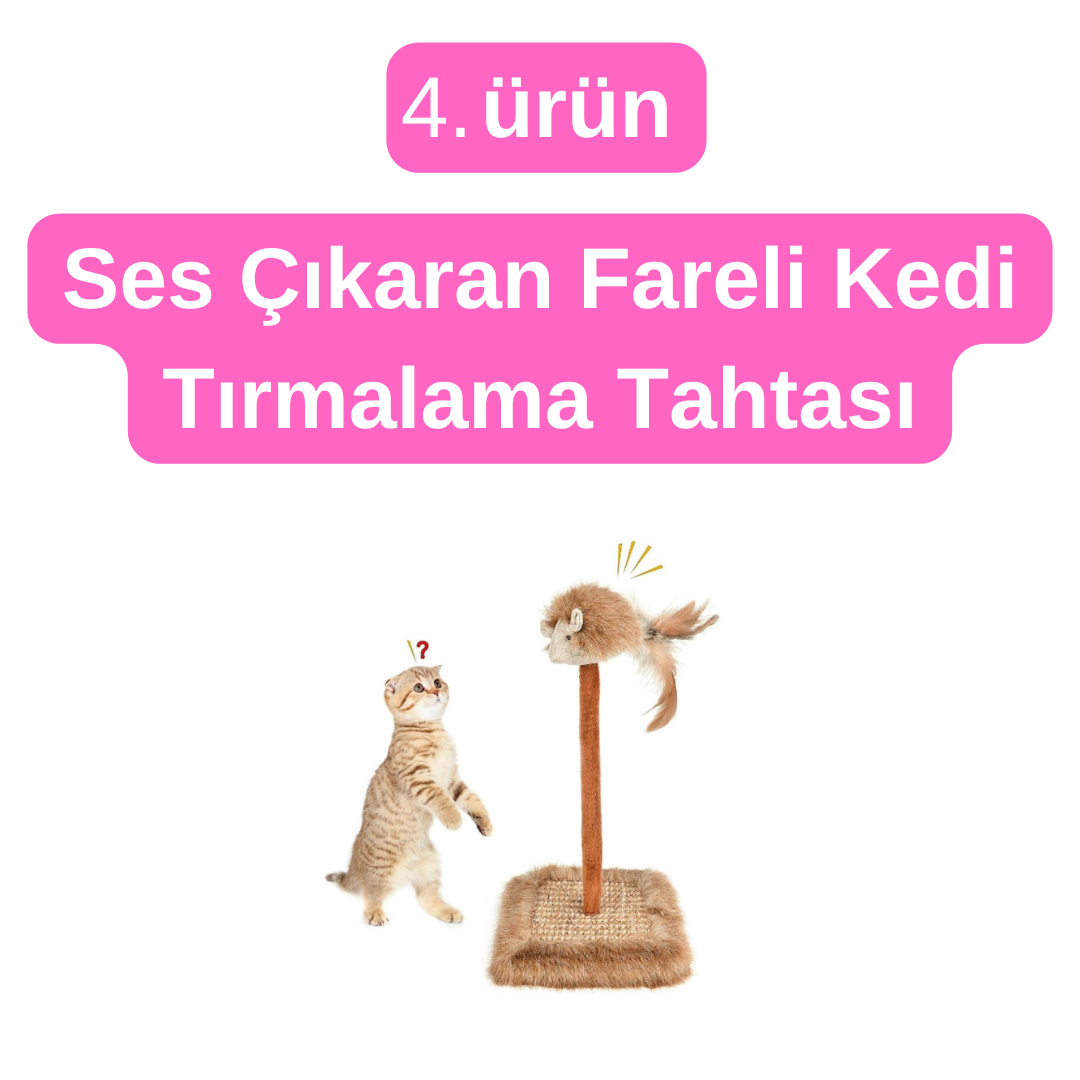 PatiCat 4'lü Avantajlı Paket