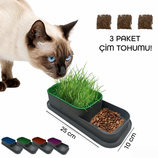 PatiGrass - Topraksız Kedi Çimi Kabı       (3 PAKET TOHUM HEDİYE)