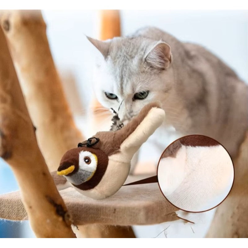 PatiBird