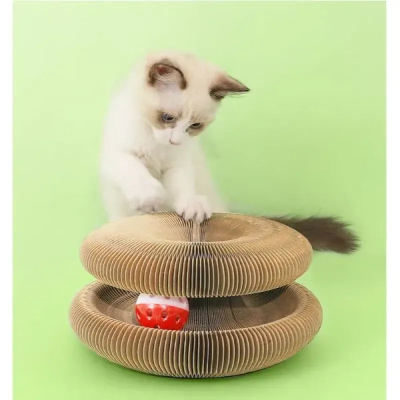 Şekillenebilir Kedi Oyuncağı - PATİFLEX