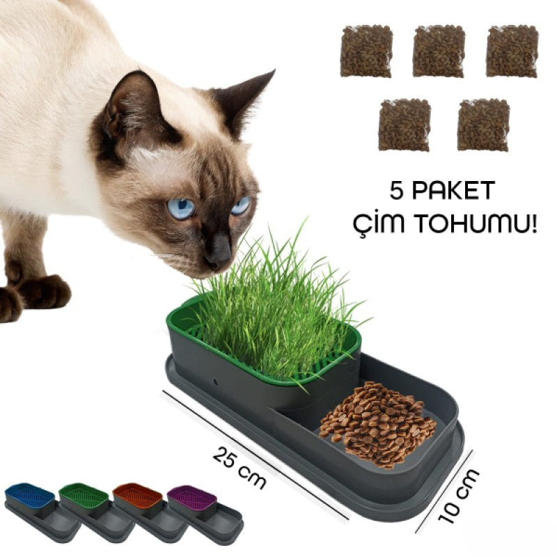 PatiGrass - Topraksız Kedi Çimi Kabı