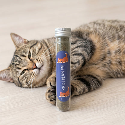 🌿 PatiMint - Doğal Kedi Nanesi (Catnip) - 45 ml Tüp - Pratik ve Taze